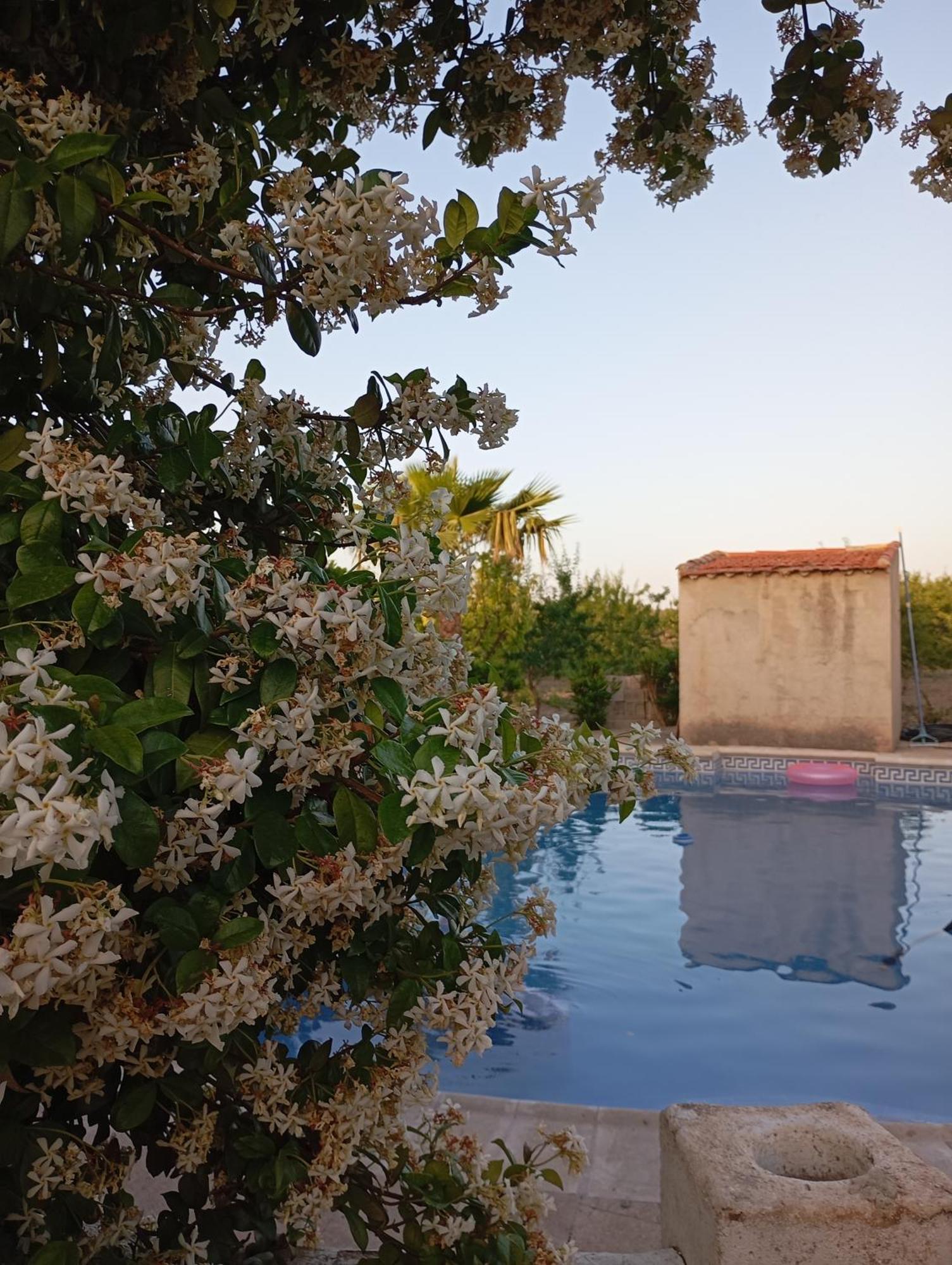 Alemanes Hébergement de vacances Moratalla (Murcia)